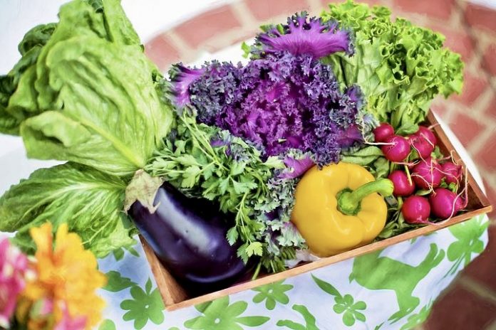 fresh vegetables - produce