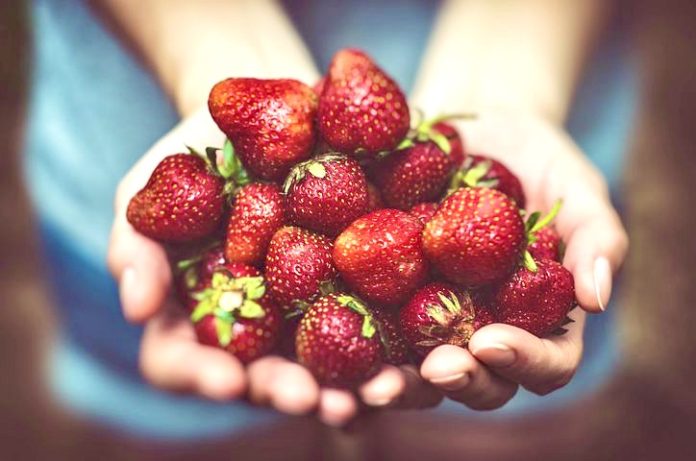 tasty red strawberries